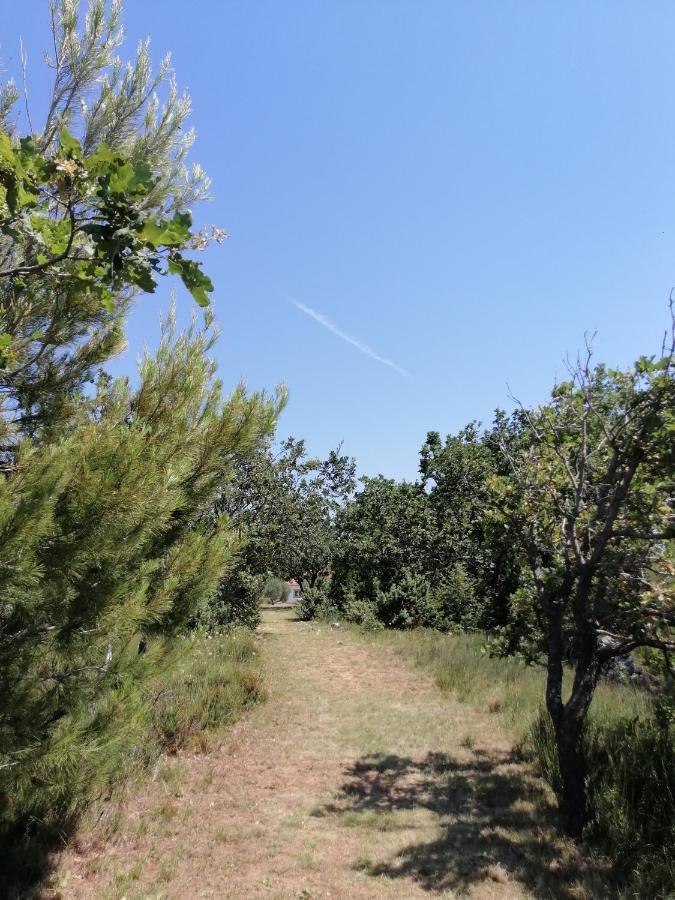 Holiday House Tunjarice Obrovac Esterno foto