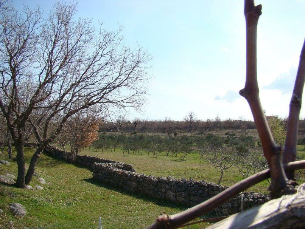 Holiday House Tunjarice Obrovac Esterno foto