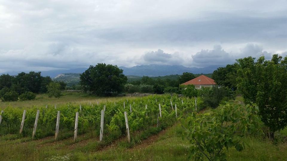 Holiday House Tunjarice Obrovac Esterno foto